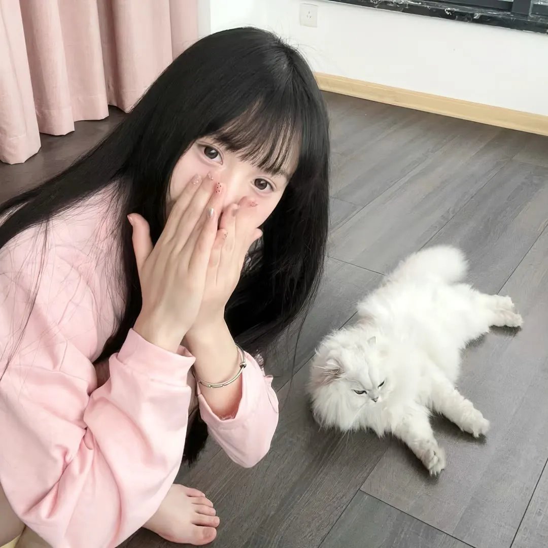 踏舞高蹈